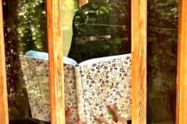 Eine Frau in einer Burka steht hinter einen Fensterscheibe in der sich die Aussenwelt speigelt und ließt in einem Buch.